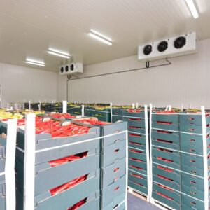 Temperature Controlled Warehouse, Hyphen SCS, Warehousing